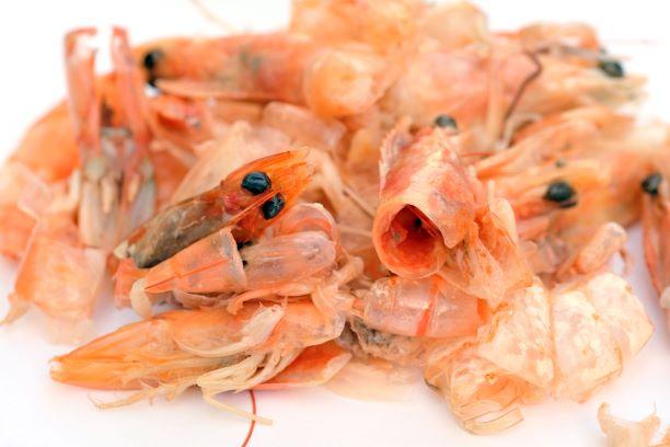 What to do with all the shrimp heads?