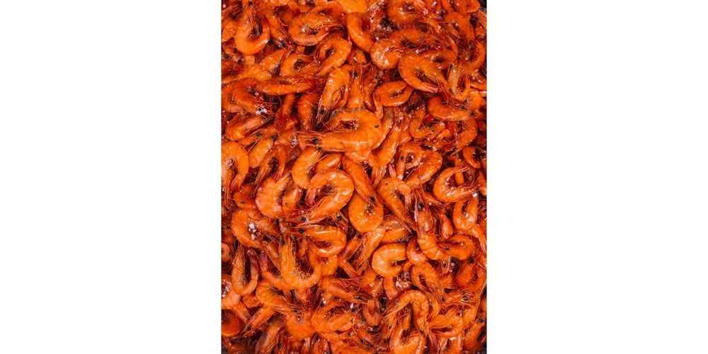 The Ins and Outs of Wholesale Shrimp