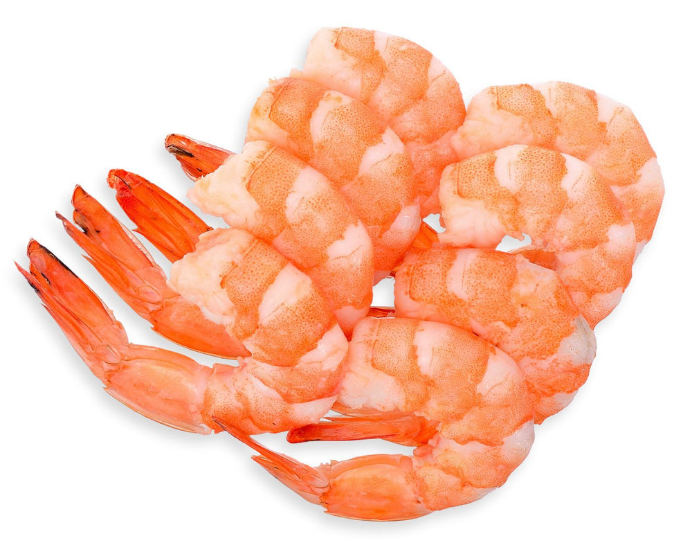 
                  
                    Load image into Gallery viewer, 10 Pounds -Fresh Harvested Large Peeled and Deveined Sun Shrimp - 20 Tray Pack P&amp;amp;D Shrimp Sun Shrimp 
                  
                