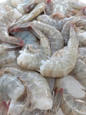 
                  
                    Load image into Gallery viewer, 5 Pounds of Freshly Harvested Jumbo Sun Shrimp Tails - 5# Bulk Bag Sun Shrimp 
                  
                