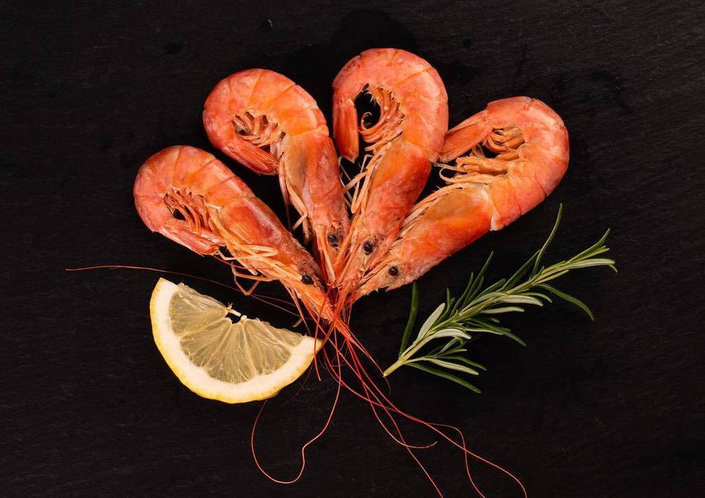 
                  
                    Load image into Gallery viewer, 10 Pounds - Fresh Harvested Large Whole Sun Shrimp - Family 20 Pack Whole Shrimp Sun Shrimp 
                  
                